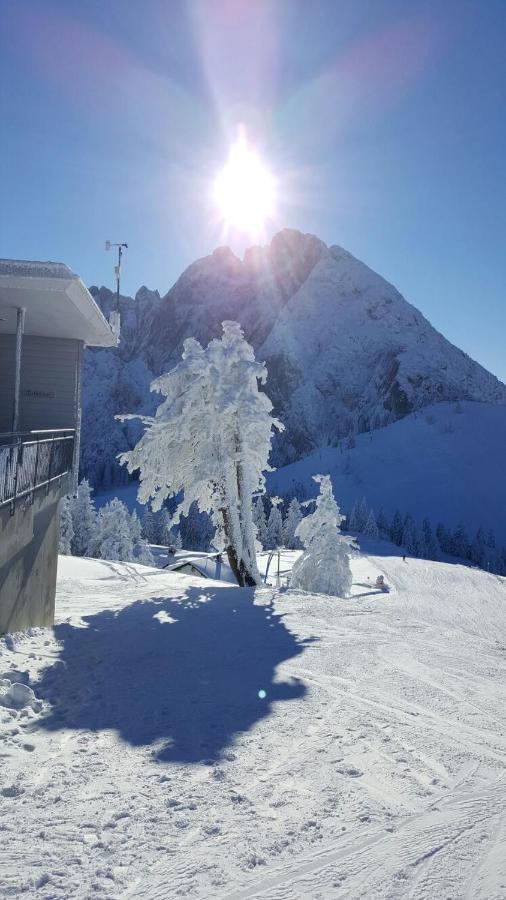 Gaestehaus Walpurga Russbach am Pass Gschütt Exteriér fotografie