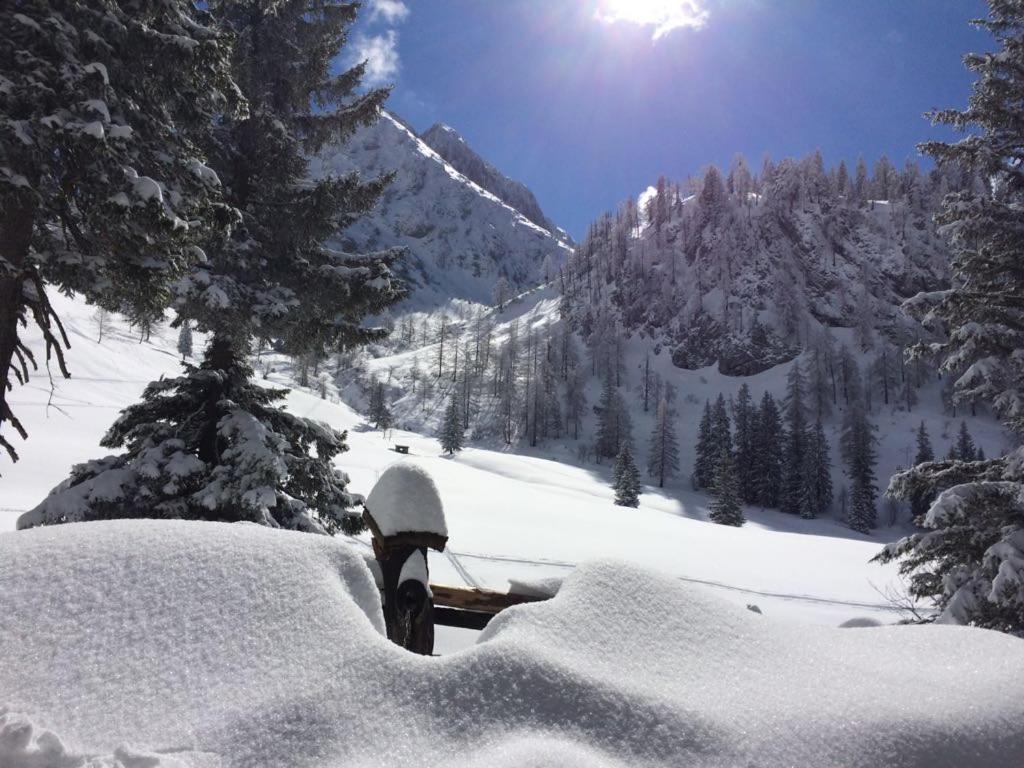 Gaestehaus Walpurga Russbach am Pass Gschütt Exteriér fotografie