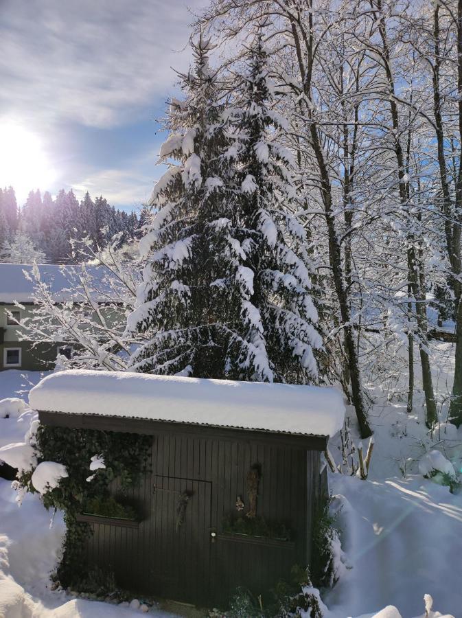 Gaestehaus Walpurga Russbach am Pass Gschütt Exteriér fotografie