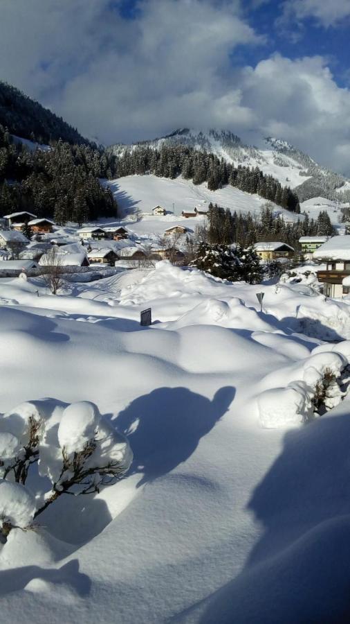 Gaestehaus Walpurga Russbach am Pass Gschütt Exteriér fotografie