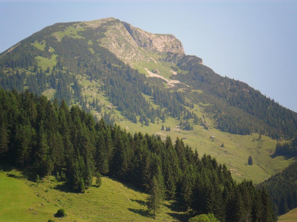 Gaestehaus Walpurga Russbach am Pass Gschütt Exteriér fotografie